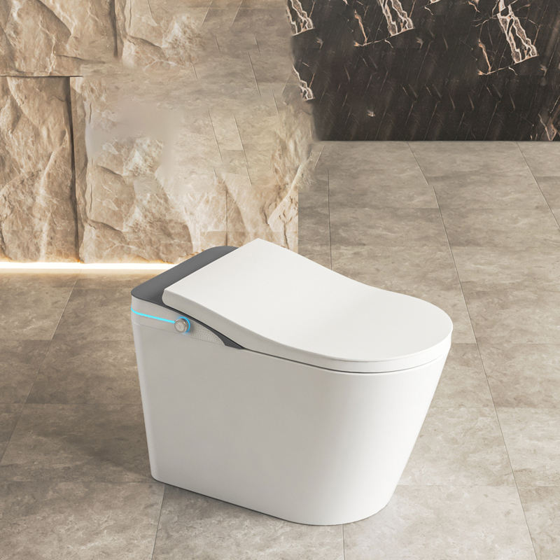 Kairo AI Voice-Guided Smart Toilet