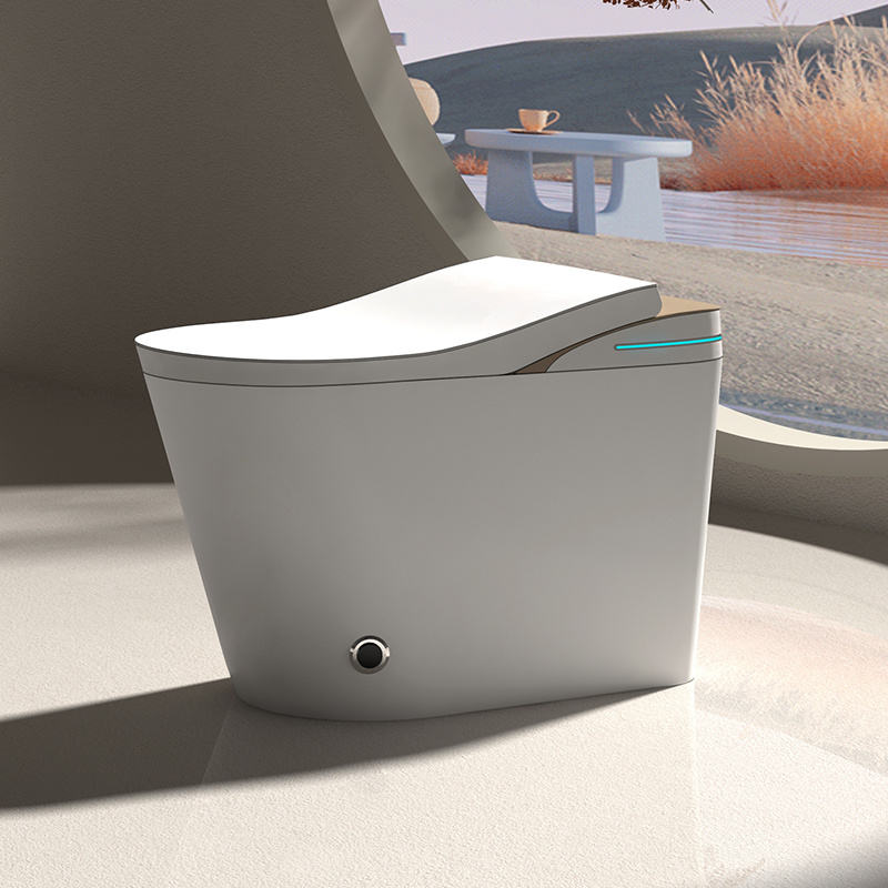 Kairo AI Voice-Guided Smart Toilet